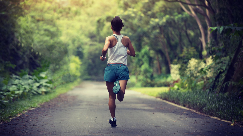 Guide to running gear